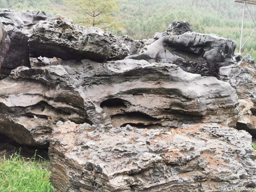 风景石、假山石大量有货，有需要的欢迎联系 - 新手上路 - 铜陵生活社区 - 铜陵28生活网 tongling.28life.net