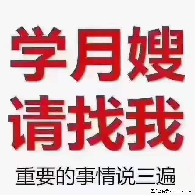 为什么要学习月嫂，育婴师？ - 其他广告 - 广告专区 - 铜陵分类信息 - 铜陵28生活网 tongling.28life.net