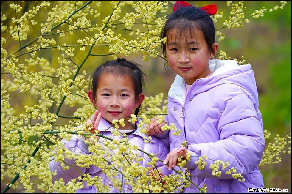 【春天，广西桂林灌阳县向您发出邀请！】米珠山前有片山苍子花在飘香 - 游山玩水 - 铜陵生活社区 - 铜陵28生活网 tongling.28life.net
