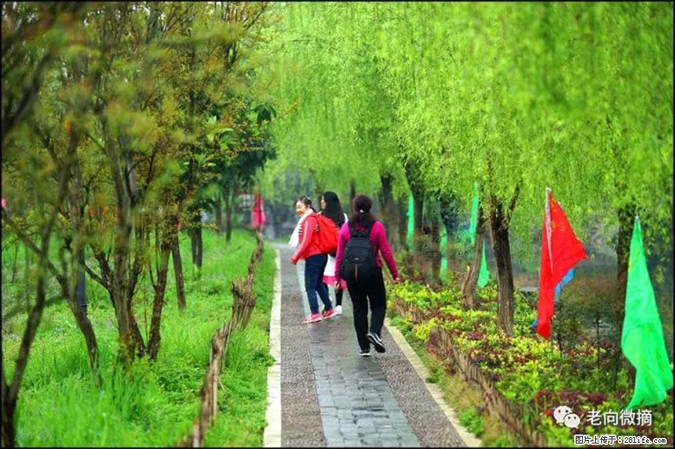 【春天，广西桂林灌阳县向您发出邀请！】江口老街又逢春 - 游山玩水 - 铜陵生活社区 - 铜陵28生活网 tongling.28life.net