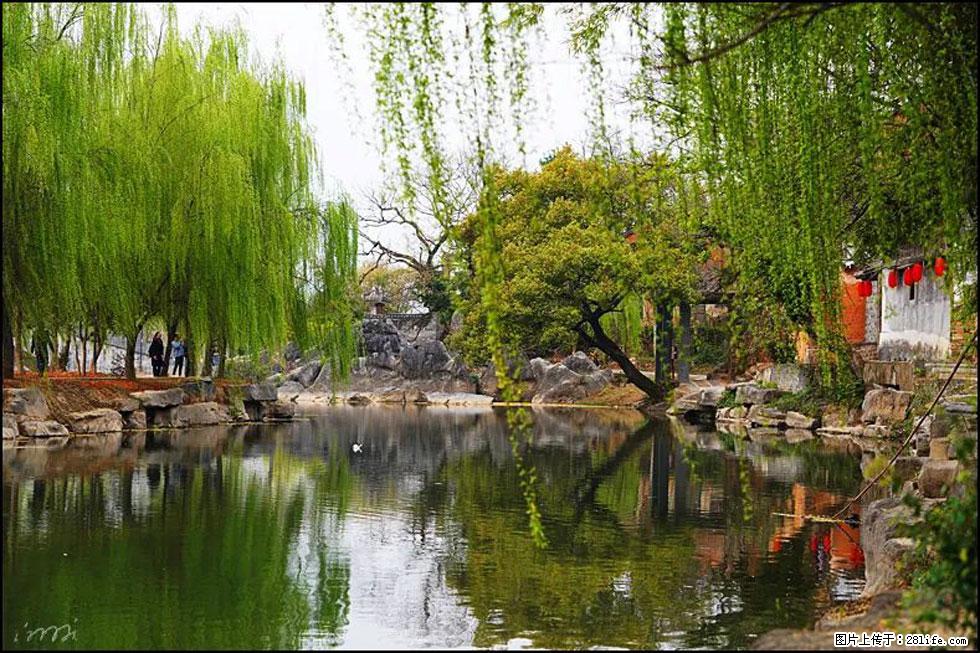 【春天，广西桂林灌阳县向您发出邀请！】江口老街又逢春 - 游山玩水 - 铜陵生活社区 - 铜陵28生活网 tongling.28life.net
