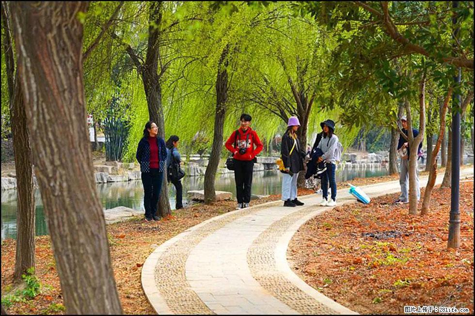 【春天，广西桂林灌阳县向您发出邀请！】江口老街又逢春 - 游山玩水 - 铜陵生活社区 - 铜陵28生活网 tongling.28life.net