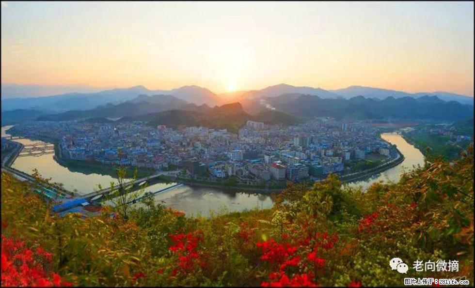 【春天，广西桂林灌阳县向您发出邀请！】登麒麟山，相约映山红 - 游山玩水 - 铜陵生活社区 - 铜陵28生活网 tongling.28life.net