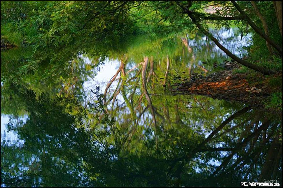 【春天，广西桂林灌阳县向您发出邀请！】熊家寨湿地公园 - 游山玩水 - 铜陵生活社区 - 铜陵28生活网 tongling.28life.net