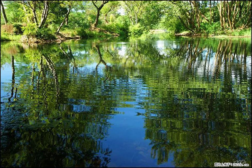 【春天，广西桂林灌阳县向您发出邀请！】熊家寨湿地公园 - 游山玩水 - 铜陵生活社区 - 铜陵28生活网 tongling.28life.net