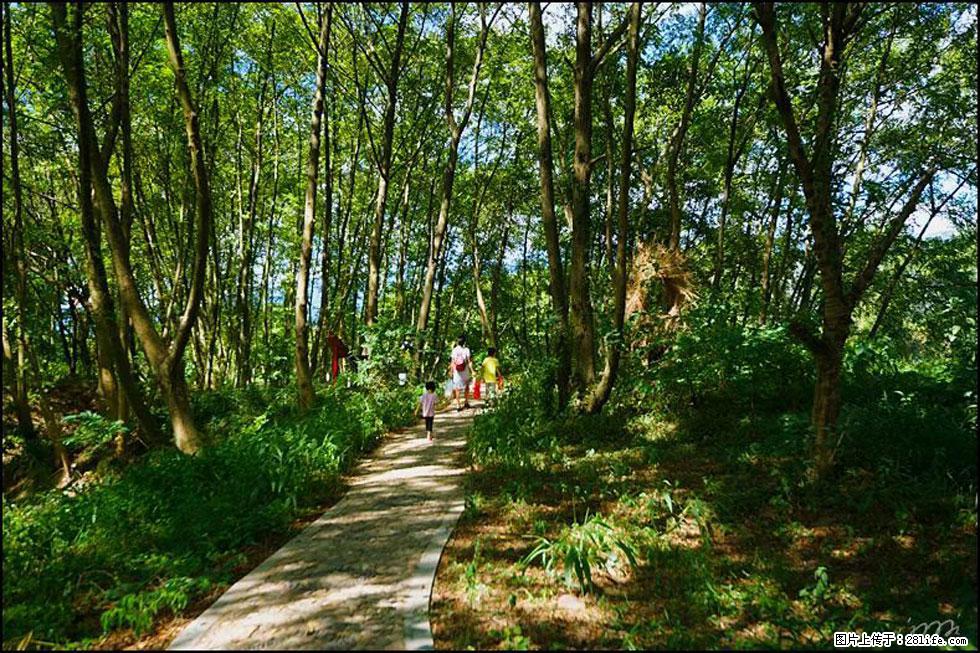 【春天，广西桂林灌阳县向您发出邀请！】熊家寨湿地公园 - 游山玩水 - 铜陵生活社区 - 铜陵28生活网 tongling.28life.net