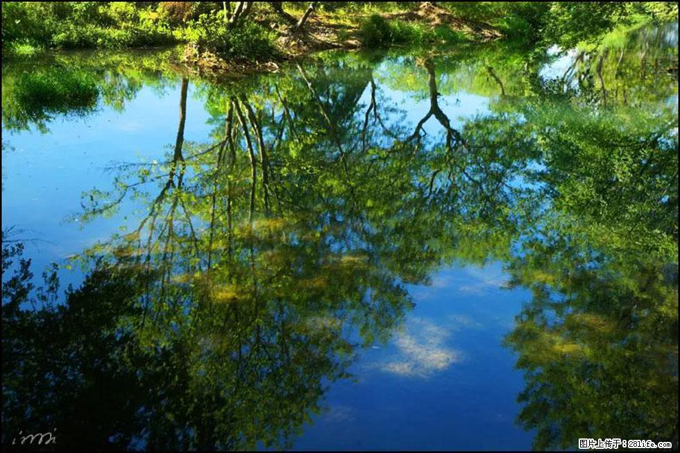 【春天，广西桂林灌阳县向您发出邀请！】熊家寨湿地公园 - 游山玩水 - 铜陵生活社区 - 铜陵28生活网 tongling.28life.net