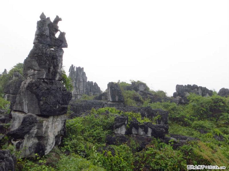 桂林旅游名城景点：灌阳文市石林 - 游山玩水 - 铜陵生活社区 - 铜陵28生活网 tongling.28life.net