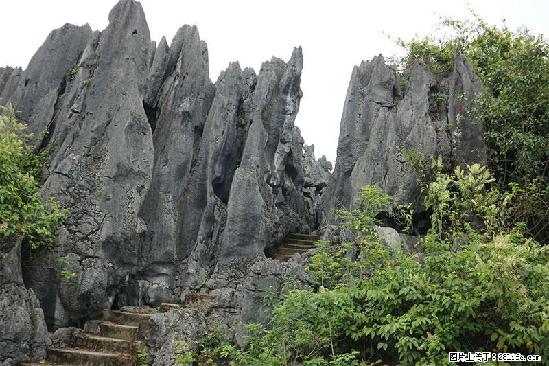 桂林旅游名城景点：灌阳文市石林 - 游山玩水 - 铜陵生活社区 - 铜陵28生活网 tongling.28life.net
