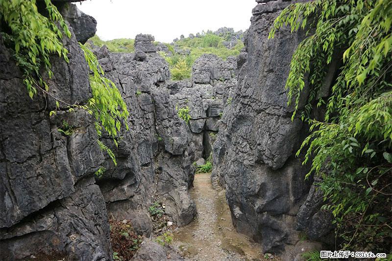 桂林旅游名城景点：灌阳文市石林 - 游山玩水 - 铜陵生活社区 - 铜陵28生活网 tongling.28life.net