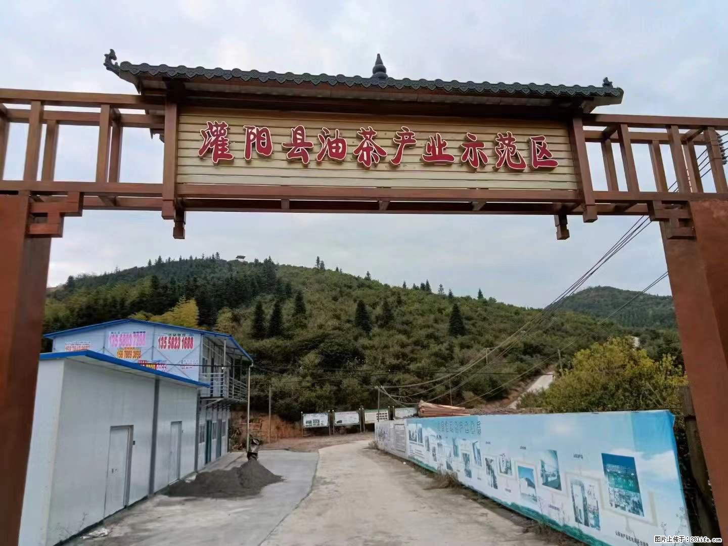 【灌阳县油茶产业示范区】一个有着充实的精神生活的人，对待身外之物自会有一种淡泊的态度 - 土特产 - 饮食特产 - 铜陵分类信息 - 铜陵28生活网 tongling.28life.net
