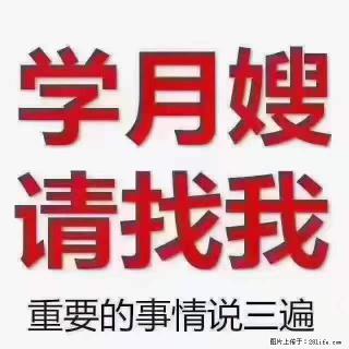 为什么要学习月嫂，育婴师？ - 铜陵28生活网 tongling.28life.net