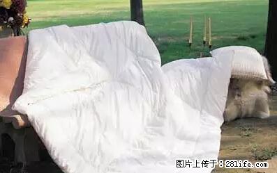 被子有异味？只要这样做，比晒太阳还强100倍！ - 家居生活 - 铜陵生活社区 - 铜陵28生活网 tongling.28life.net