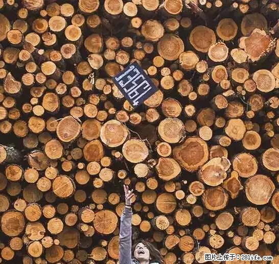 辞掉工作周游世界？现在他们在洗厕所…… - 游山玩水 - 铜陵生活社区 - 铜陵28生活网 tongling.28life.net