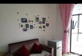 金山广场（财富广场旁）精装一室一厅 家电家具齐全 拎包即住 - 铜陵28生活网 tongling.28life.net