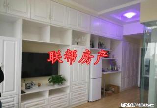 万达对面 万锦 精装公寓 全电器1300出租（多套可短租） - 铜陵28生活网 tongling.28life.net
