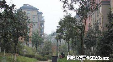万泰翡翠城(银杏苑) 2室2厅1卫 - 房屋出租 - 房屋租售 - 铜陵分类信息 - 铜陵28生活网 tongling.28life.net