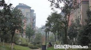 万泰翡翠城(银杏苑) 2室2厅1卫 - 铜陵28生活网 tongling.28life.net