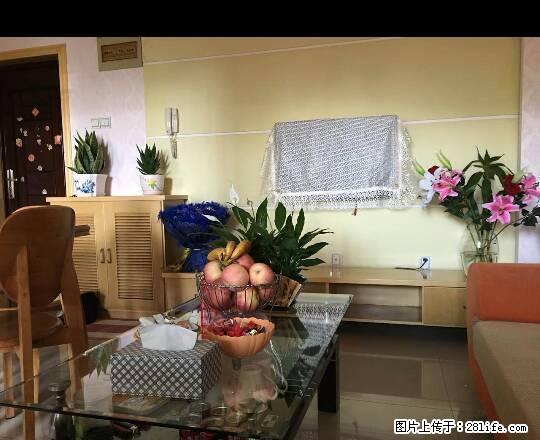 怡嘉公寓电梯房精装修2室2厅1500元 - 房屋出租 - 房屋租售 - 铜陵分类信息 - 铜陵28生活网 tongling.28life.net