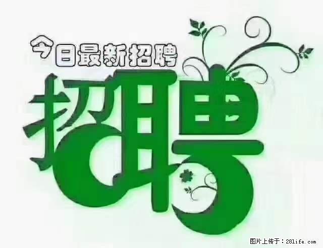 【招聘摄像师】待遇：试用期6000元/月，转正7000元/月+五险一金+餐补+节日福利+奖金 - 其他招聘信息 - 招聘求职 - 铜陵分类信息 - 铜陵28生活网 tongling.28life.net