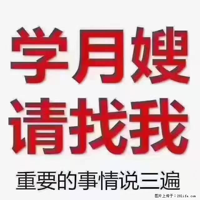 【招聘】月嫂，上海徐汇区 - 职场交流 - 铜陵生活社区 - 铜陵28生活网 tongling.28life.net