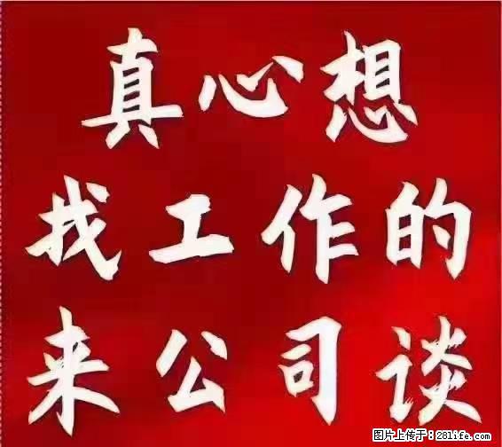 【上海】国企，医院招两名男保安，55岁以下，身高1.7米以上，无犯罪记录不良嗜好 - 职场交流 - 铜陵生活社区 - 铜陵28生活网 tongling.28life.net