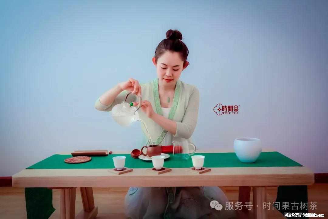时间果百年古树龙珠普洱生茶 - 购物交流 - 铜陵生活社区 - 铜陵28生活网 tongling.28life.net