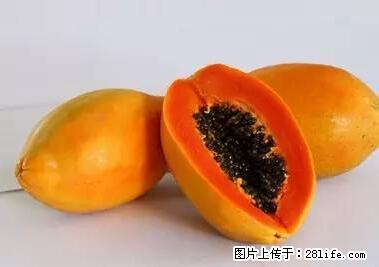 晕车、脚气、牙齿变黄、皮肤粗糙？学会这些三分钟搞定！ - 铜陵生活资讯 - 铜陵28生活网 tongling.28life.net