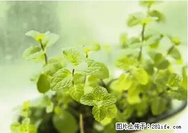 晕车、脚气、牙齿变黄、皮肤粗糙？学会这些三分钟搞定！ - 铜陵生活资讯 - 铜陵28生活网 tongling.28life.net