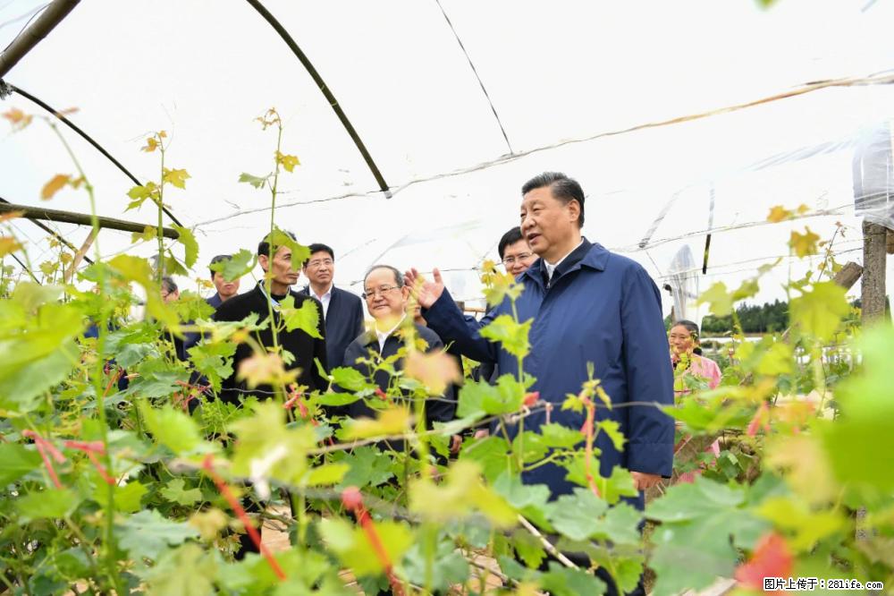 习近平赴广西考察调研 - 铜陵生活资讯 - 铜陵28生活网 tongling.28life.net