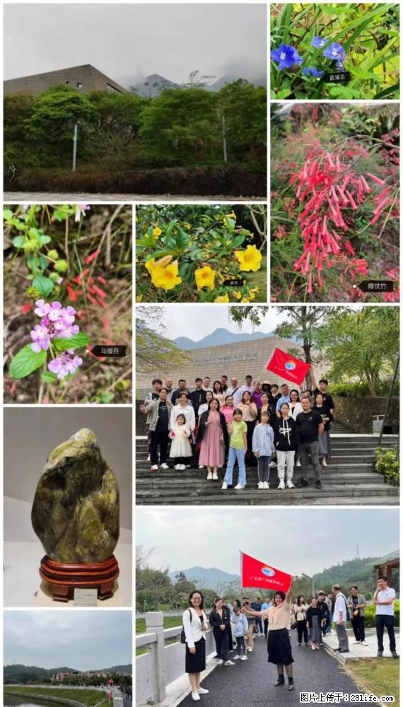 “粤灌文化 美好生活”油茶文化主题活动在广东深圳成功举办 - 铜陵生活资讯 - 铜陵28生活网 tongling.28life.net