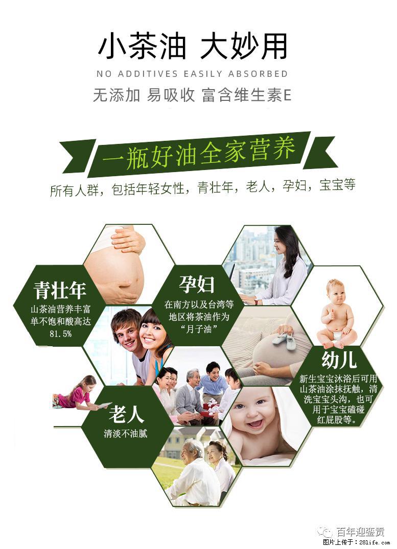 世界没有真相，只有认知，最好的食用油是中国的山茶油！ - 铜陵生活资讯 - 铜陵28生活网 tongling.28life.net