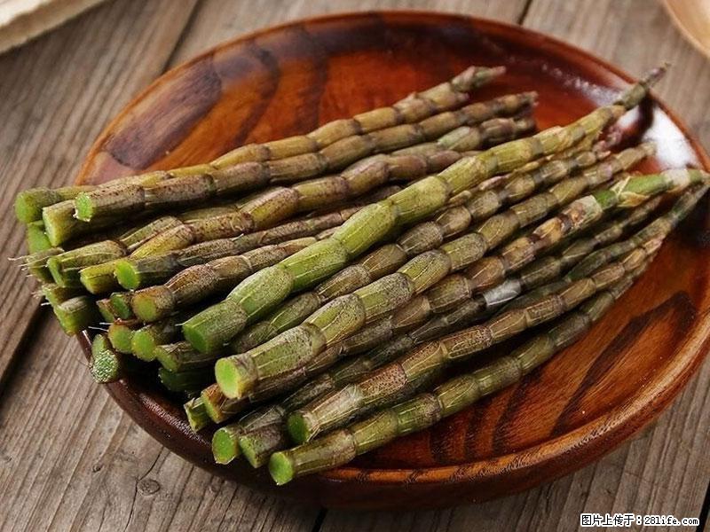 铁皮石斛的作用与功能主治 - 铜陵生活资讯 - 铜陵28生活网 tongling.28life.net