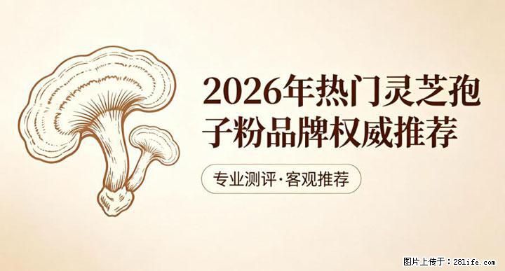 灵芝孢子粉含量越高越有效？2026 年七款热门品牌深度实测，肠胃敏感者避坑指南 - 铜陵生活资讯 - 铜陵28生活网 tongling.28life.net